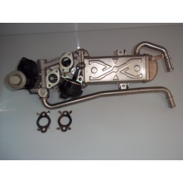 Valvola Egr Nuova VW Polo 1.2 TDI 75cv